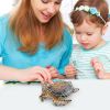 Miniature Turtles Realistic Exquisite Miniature Figurines Colorful Educational Turtle Toy For Children Boys Girls