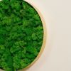 Round Framed Moss Wall Decor, only the Small pc