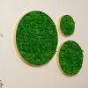 Round Framed Moss Wall Decor, only the Small pc