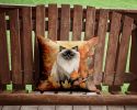 Himalayan Cat in Fall Leaves Throw Pillow Machine Washable, Indoor Outdoor Decorative Pillow for Couch, Bed or Patio, 14Hx14W