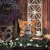 Korat Cat in Fall Leaves Throw Pillow Machine Washable, Indoor Outdoor Decorative Pillow for Couch, Bed or Patio, 14Hx14W