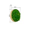 Round Framed Moss Wall Decor, only the Small pc