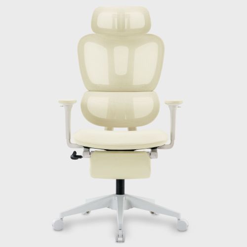 Multi-functional Ergonomic Mesh Office Chair with Adjustable Armrest,Footrest,Lumbar Support, 360°  Silent Wheels,Headrest for Home & Office