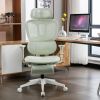 Multi-functional Ergonomic Mesh Office Chair with Adjustable Armrest,Footrest,Lumbar Support, 360°  Silent Wheels,Headrest for Home & Office