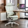 Multi-functional Ergonomic Mesh Office Chair with Adjustable Armrest,Footrest,Lumbar Support, 360°  Silent Wheels,Headrest for Home & Office