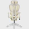 Multi-functional Ergonomic Mesh Office Chair with Adjustable Armrest,Footrest,Lumbar Support, 360°  Silent Wheels,Headrest for Home & Office