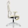 Multi-functional Ergonomic Mesh Office Chair with Adjustable Armrest,Footrest,Lumbar Support, 360°  Silent Wheels,Headrest for Home & Office